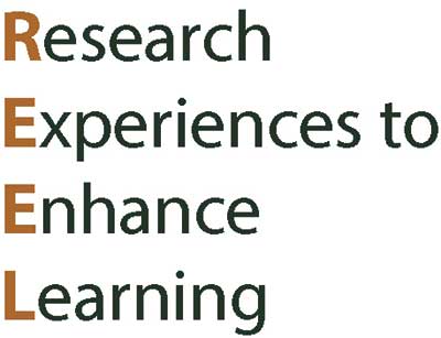 REEL Chemistry Research Experiences to Enhance Learning