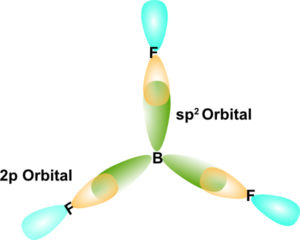 Sp2 hybridized orbitals on Boron overlap with p orbitals of Fluorine.  BF3