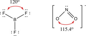 Structures and bond angles for Boron trifluoride and nitrite ion