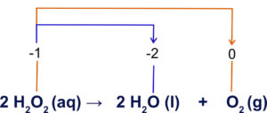 Redox reaction with one substance acting as the oxidizing and reducing agent