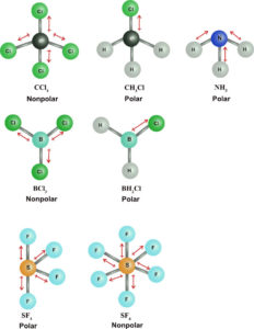 Molecular representations of polar and nonpolar molecules