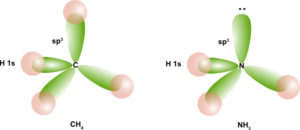 hybridization of methane and ammonia.