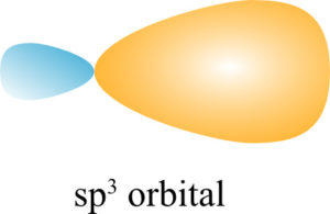 the two lobes of an sp3 orbital
