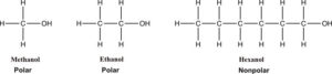 Structural formulas of methanol, ethanol, and hexanol
