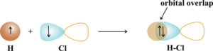 a 1s orbital of hydrogen overlaps with a 3p orbital of Cl to form HCl