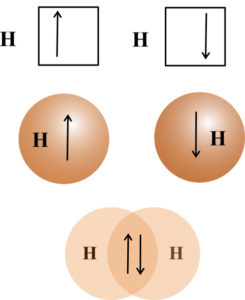 The overlap of two hydrogen 1s orbitals to form a covalent bond